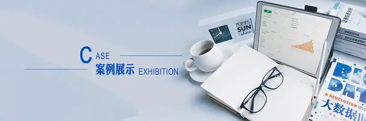 山阳县软件开发